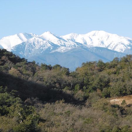 O Petit Bonheur Villa Laroque-des-Albères Dış mekan fotoğraf