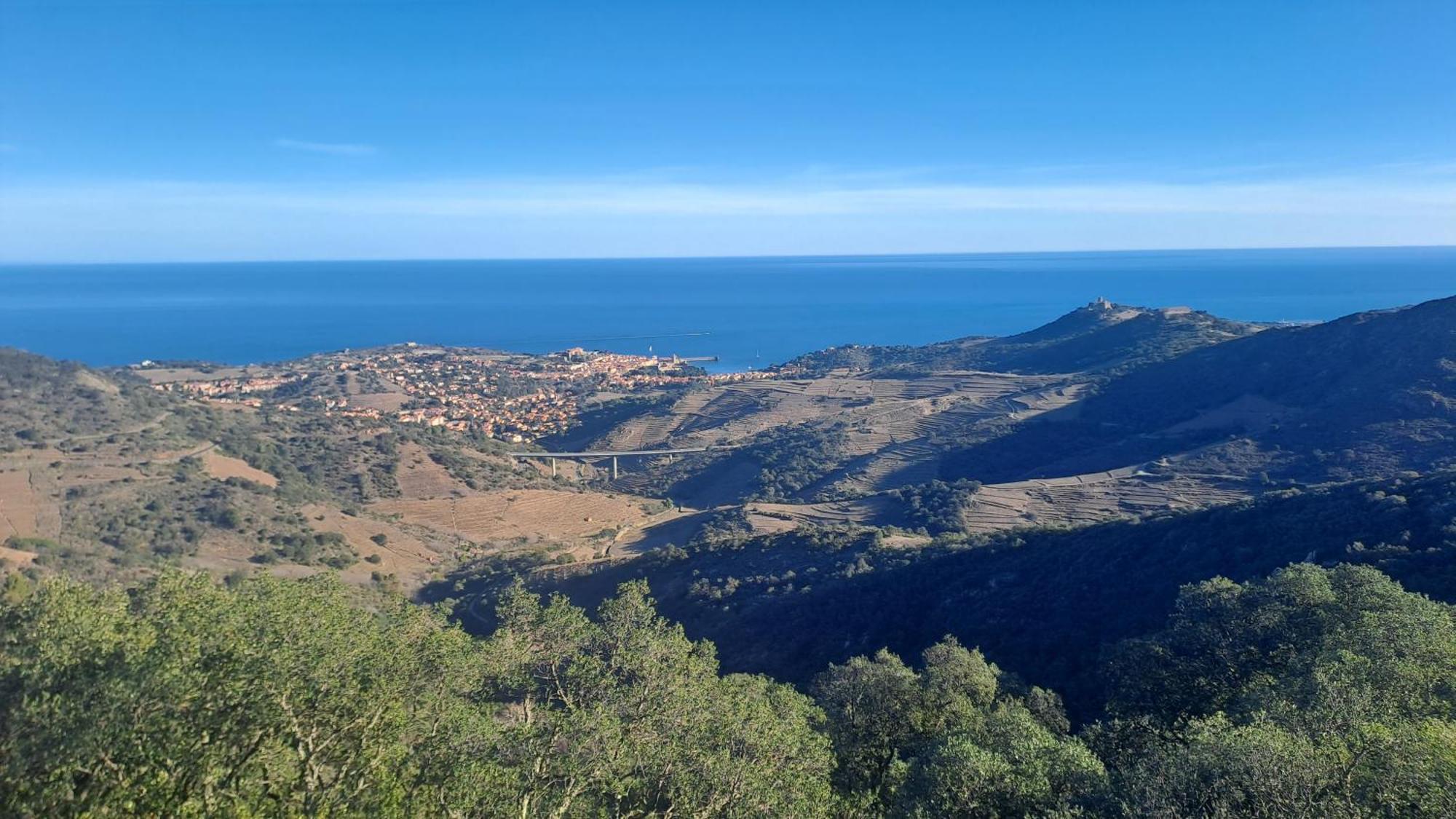 O Petit Bonheur Villa Laroque-des-Albères Dış mekan fotoğraf